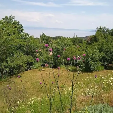 U Blizini Opatije Apartamento *